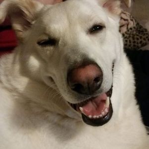 Meet your Posher, Pam